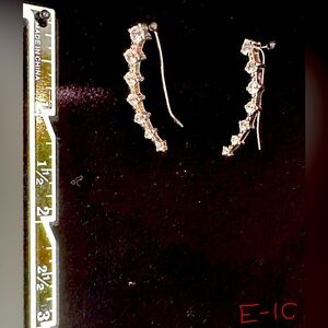 Lovely earlobe climbing crystal earrings